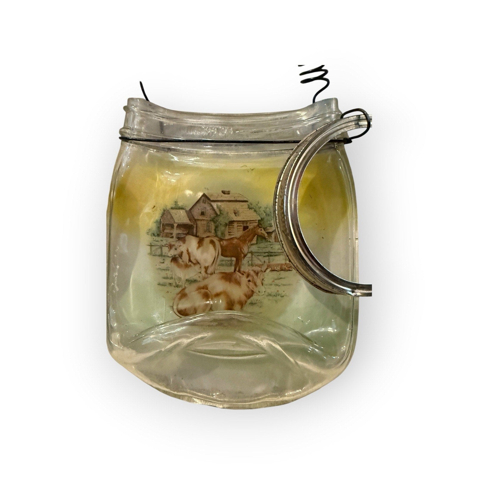 Set Of 2 Decorative Wall Art Quart Canning Jars Wire handle Wide Mouth 32oz