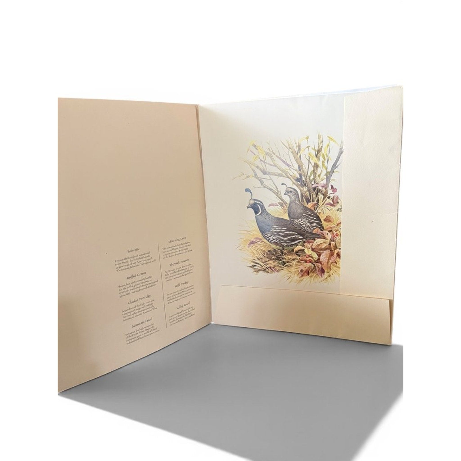 Field & Stream's Portfolio of Game Birds by Ned Smith