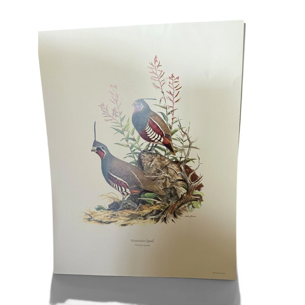 Field & Stream's Portfolio of Game Birds by Ned Smith