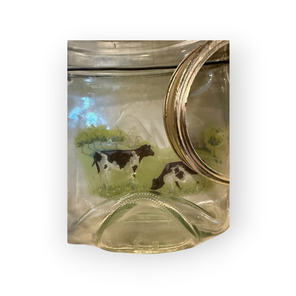Set Of 2 Decorative Wall Art Quart Canning Jars Wire handle Wide Mouth 32oz