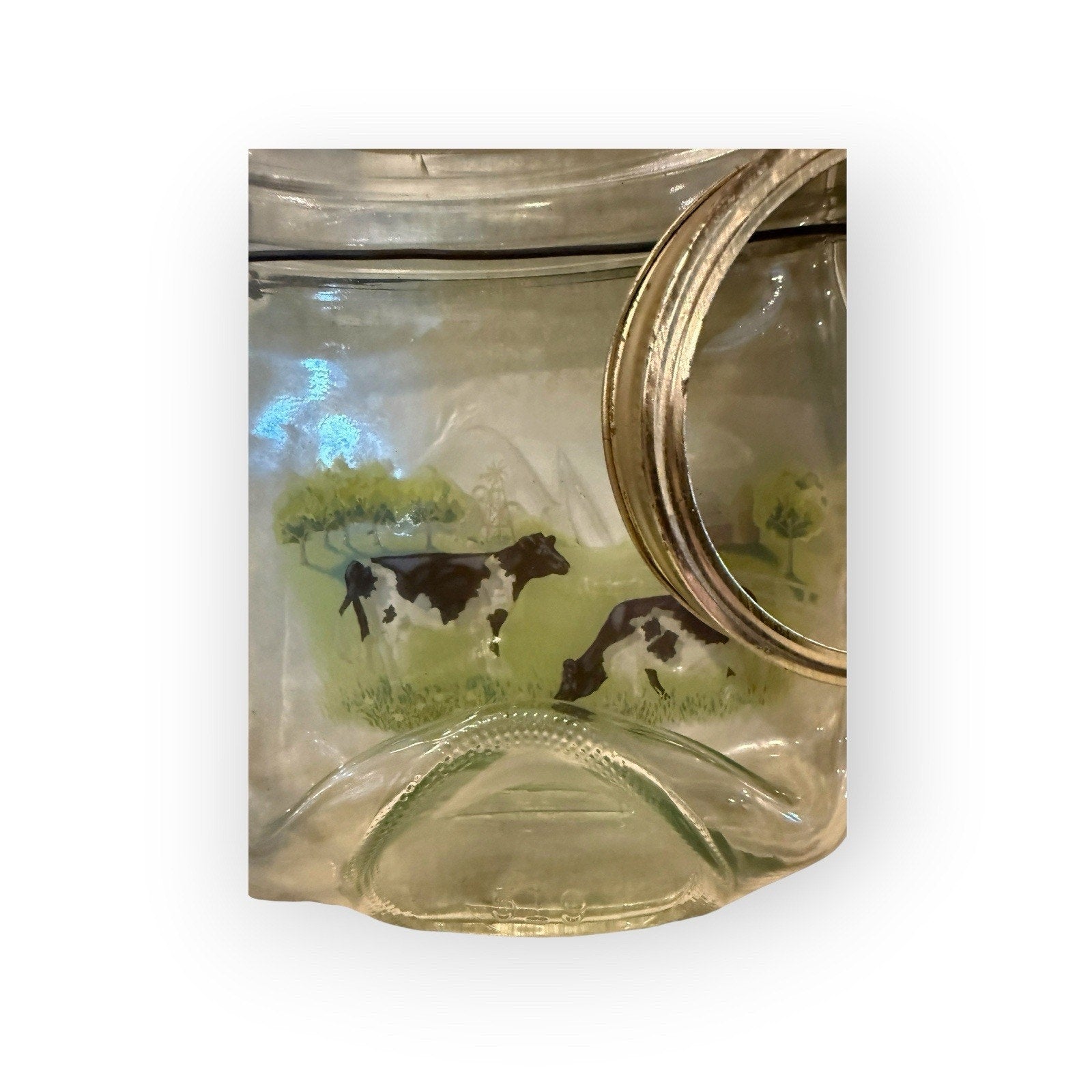 Set Of 2 Decorative Wall Art Quart Canning Jars Wire handle Wide Mouth 32oz