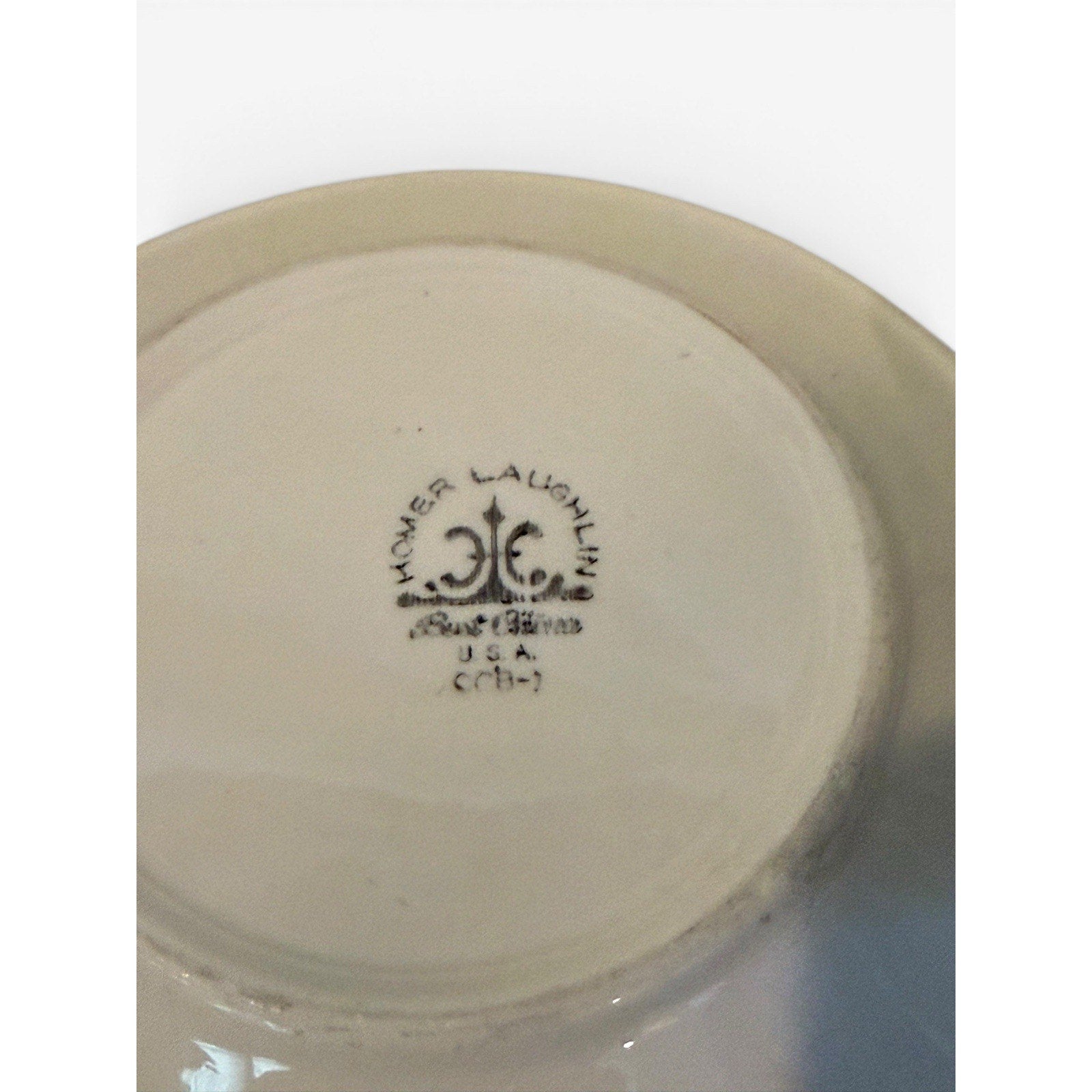 Homestead Cup and Saucer Homer Laughlin Resortware Restaurant Ware