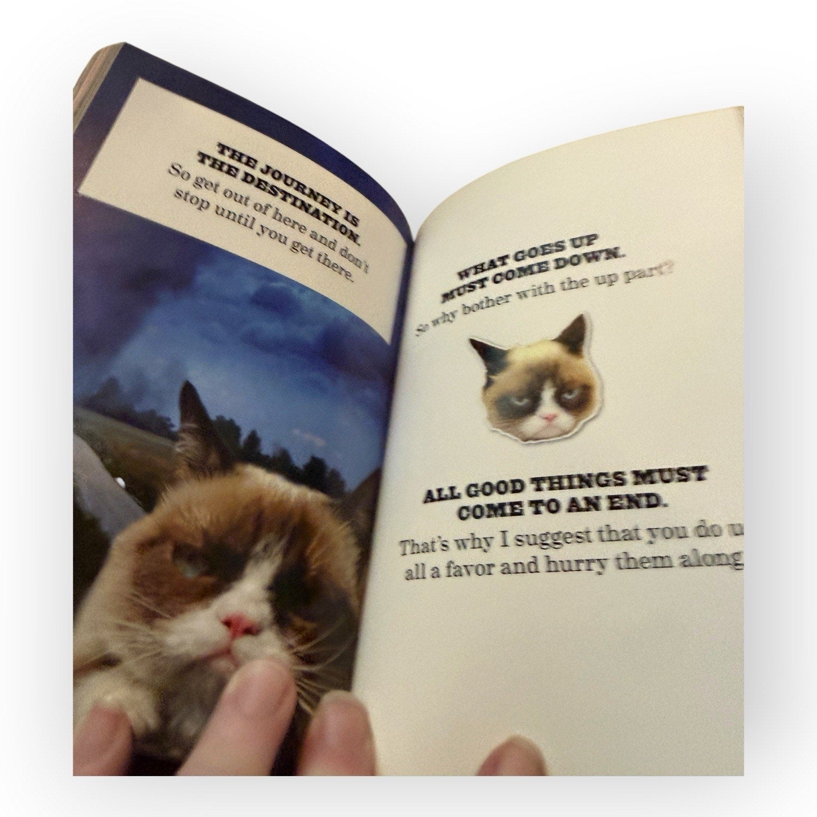 The Grumpy Guide to Life : Observations from Grumpy Cat Hardcover