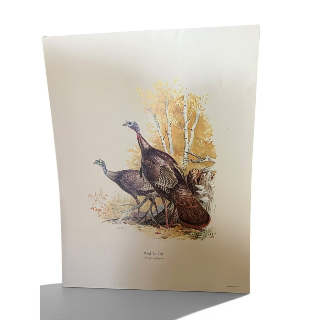 Field & Stream's Portfolio of Game Birds by Ned Smith